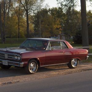 Meet your Posher, Debbie